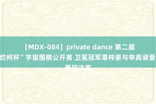 【MDX-084】private dance 第二届“衢州烂柯杯”宇宙围棋公开赛 卫冕冠军辜梓豪与申真谞晋级决赛