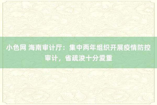 小色网 海南审计厅：集中两年组织开展疫情防控审计，省疏浚十分爱重