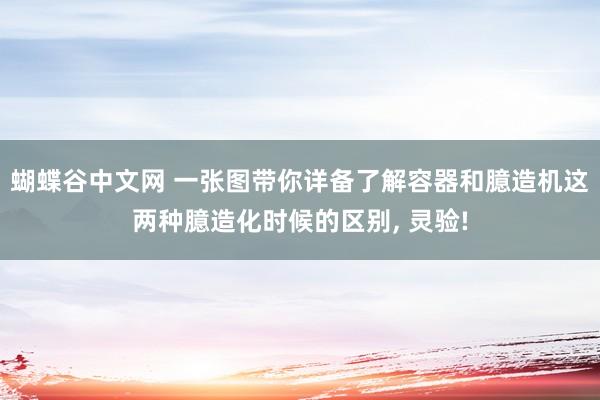 蝴蝶谷中文网 一张图带你详备了解容器和臆造机这两种臆造化时候的区别， 灵验!