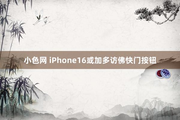 小色网 iPhone16或加多访佛快门按钮