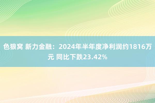 色狼窝 新力金融：2024年半年度净利润约1816万元 同比下跌23.42%