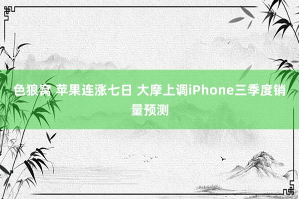 色狼窝 苹果连涨七日 大摩上调iPhone三季度销量预测