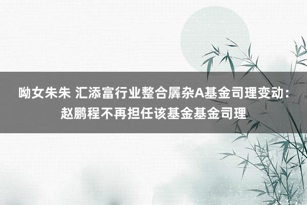 呦女朱朱 汇添富行业整合羼杂A基金司理变动：赵鹏程不再担任该基金基金司理