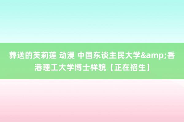 葬送的芙莉莲 动漫 中国东谈主民大学&香港理工大学博士样貌【正在招生】