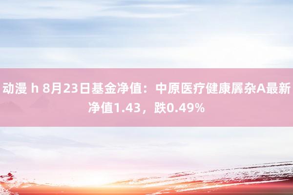 动漫 h 8月23日基金净值：中原医疗健康羼杂A最新净值1.43，跌0.49%