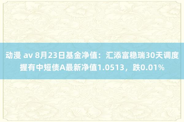 动漫 av 8月23日基金净值：汇添富稳瑞30天调度握有中短债A最新净值1.0513，跌0.01%