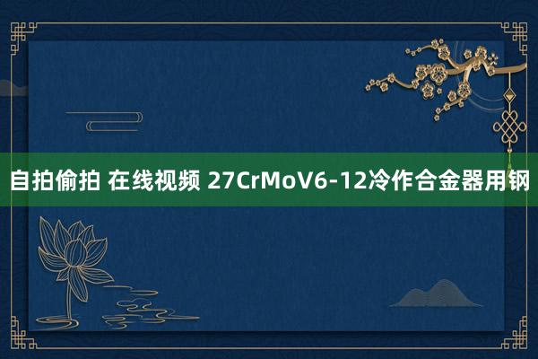 自拍偷拍 在线视频 27CrMoV6-12冷作合金器用钢