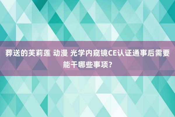 葬送的芙莉莲 动漫 光学内窥镜CE认证通事后需要能干哪些事项？