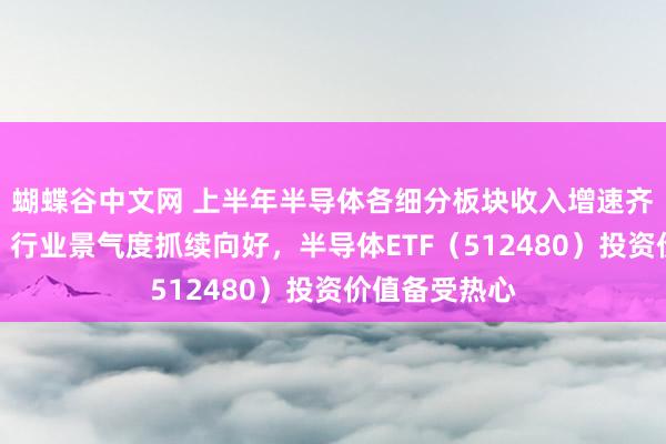 蝴蝶谷中文网 上半年半导体各细分板块收入增速齐末轨则增长，行业景气度抓续向好，半导体ETF（512480）投资价值备受热心