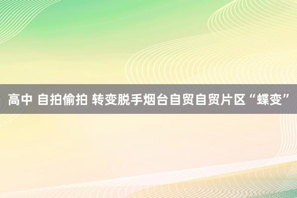 高中 自拍偷拍 转变脱手烟台自贸自贸片区“蝶变”