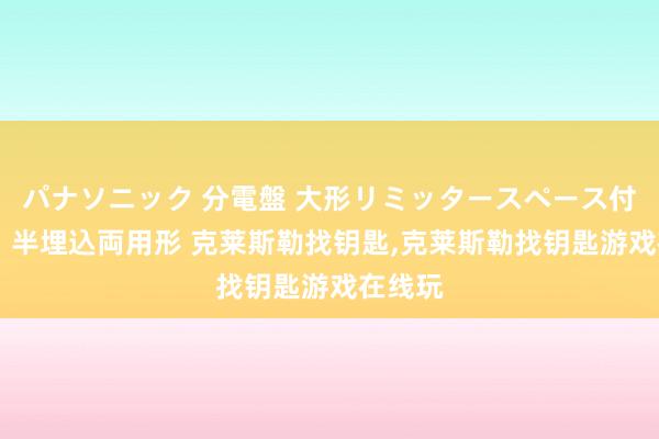 パナソニック 分電盤 大形リミッタースペース付 露出・半埋込両用形 克莱斯勒找钥匙，克莱斯勒找钥匙游戏在线玩