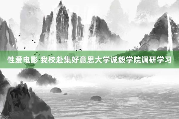 性爱电影 我校赴集好意思大学诚毅学院调研学习