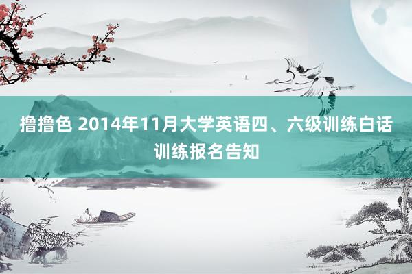 撸撸色 2014年11月大学英语四、六级训练白话训练报名告知