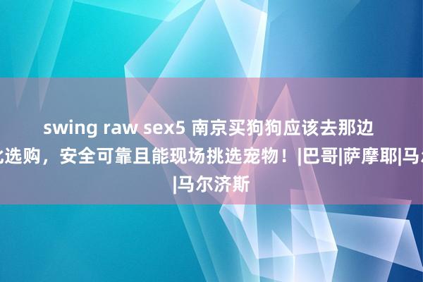 swing raw sex5 南京买狗狗应该去那边 ，在此选购，安全可靠且能现场挑选宠物！|巴哥|萨摩耶|马尔济斯