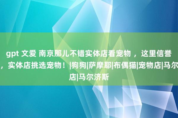 gpt 文爱 南京那儿不错实体店看宠物 ，这里信誉保证，实体店挑选宠物！|狗狗|萨摩耶|布偶猫|宠物店|马尔济斯