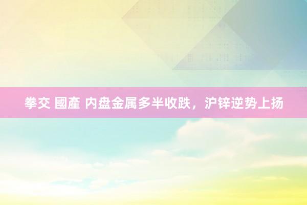 拳交 國產 内盘金属多半收跌，沪锌逆势上扬