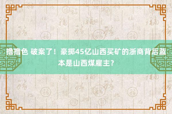 撸撸色 破案了！豪掷45亿山西买矿的浙商背后蓝本是山西煤雇主？