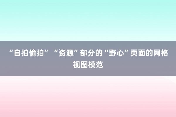 “自拍偷拍” “资源”部分的“野心”页面的网格视图模范