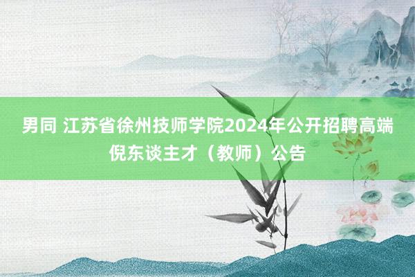 男同 江苏省徐州技师学院2024年公开招聘高端倪东谈主才（教师）公告