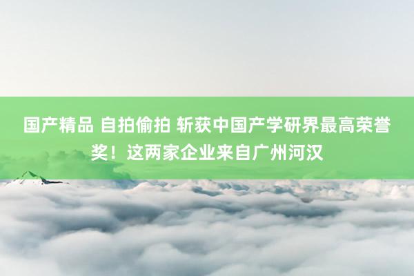 国产精品 自拍偷拍 斩获中国产学研界最高荣誉奖！这两家企业来自广州河汉