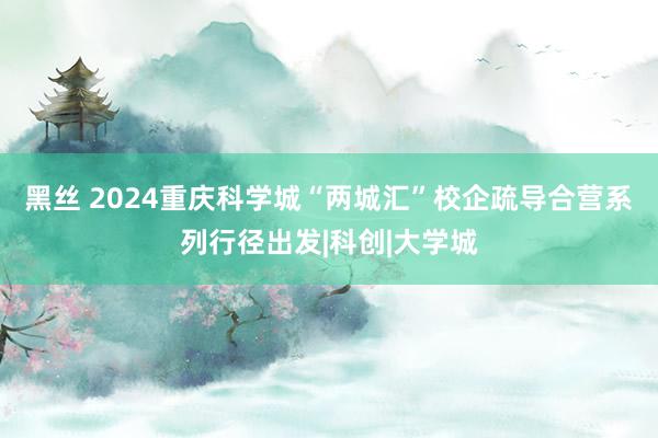 黑丝 2024重庆科学城“两城汇”校企疏导合营系列行径出发|科创|大学城